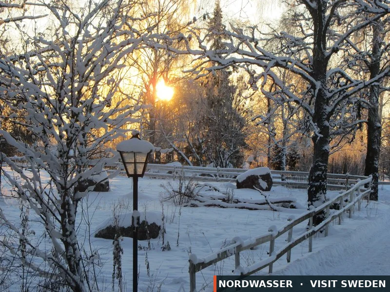 Vintermys på landet