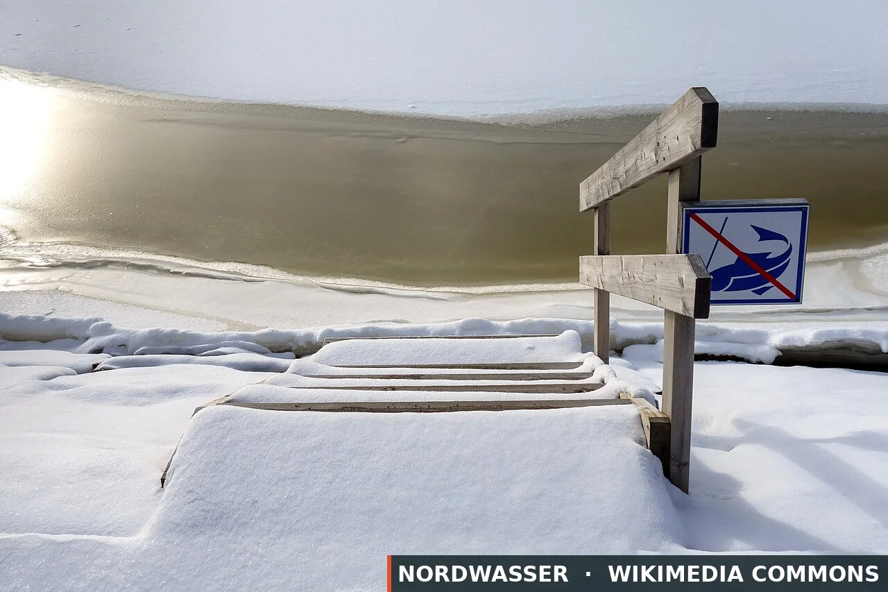 Angeln in Schweden: Regeln & Schonzeiten