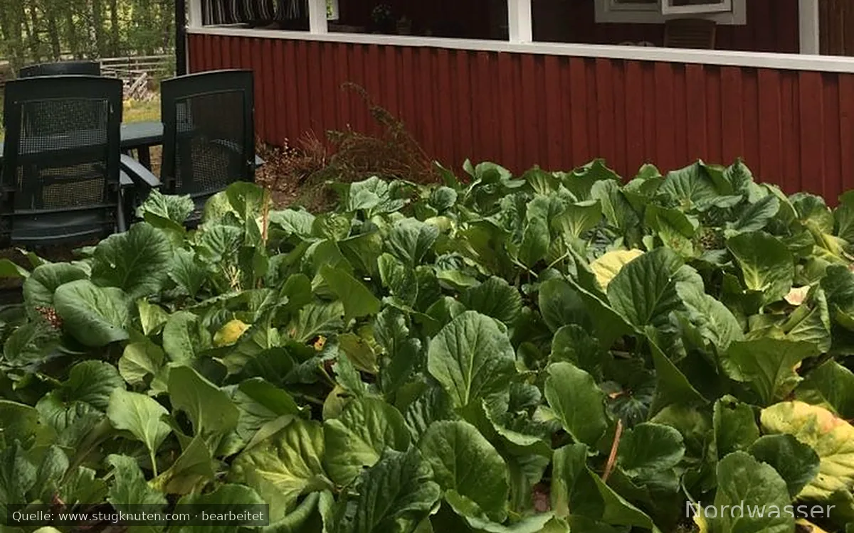 Liten charmig stuga i gunnarskog