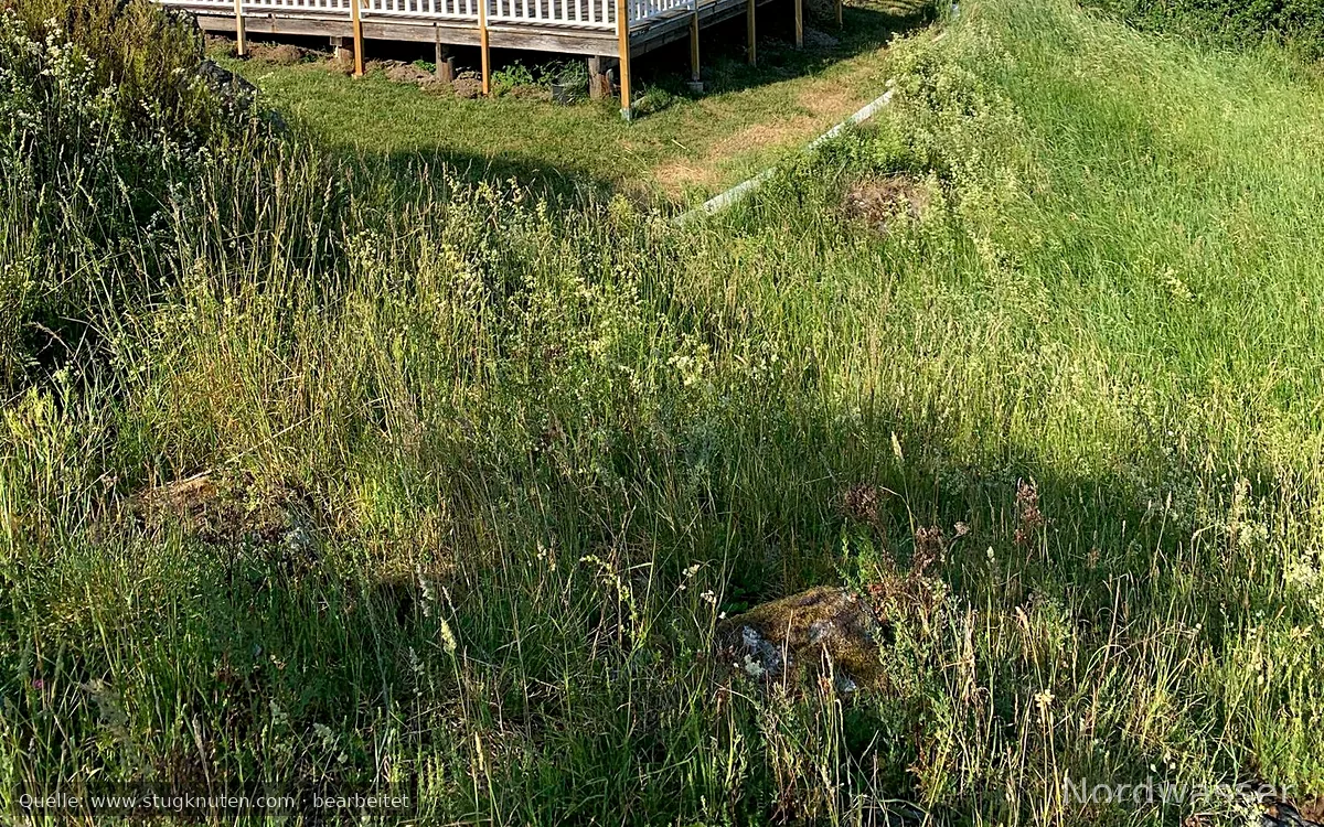 Mysig stuga i lantlig miljö