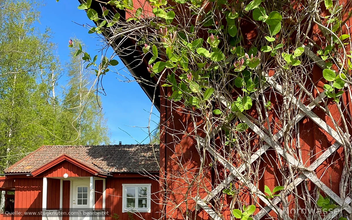 Per-Olsgårdens två gäststugor