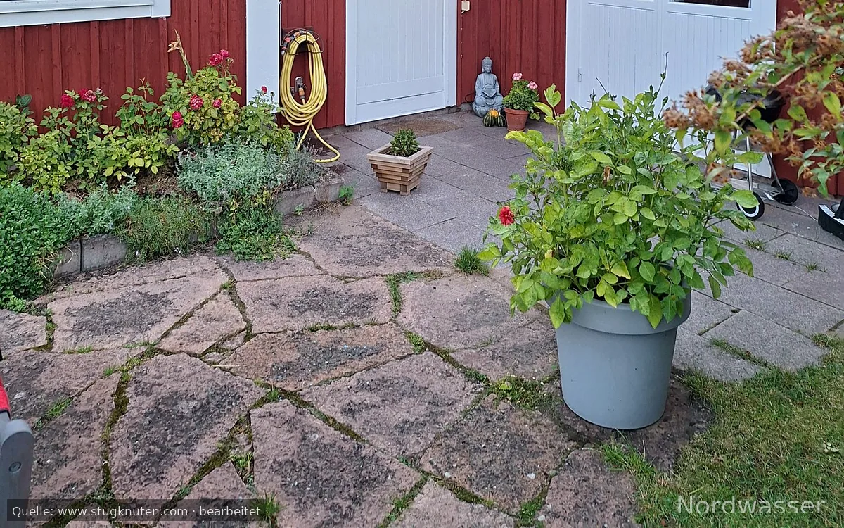 Mysigt hus