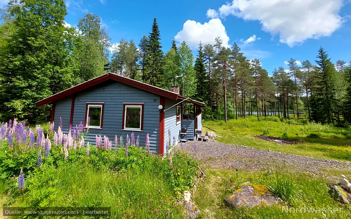 Mysig stuga i skogen nära fiske och natur!