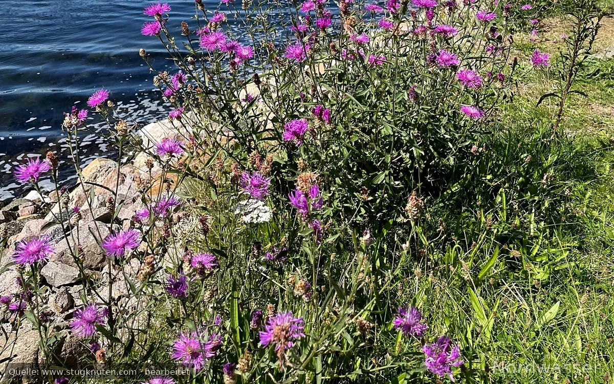 Parhus nära Kungshamn/Smögen 8-9 bäddar