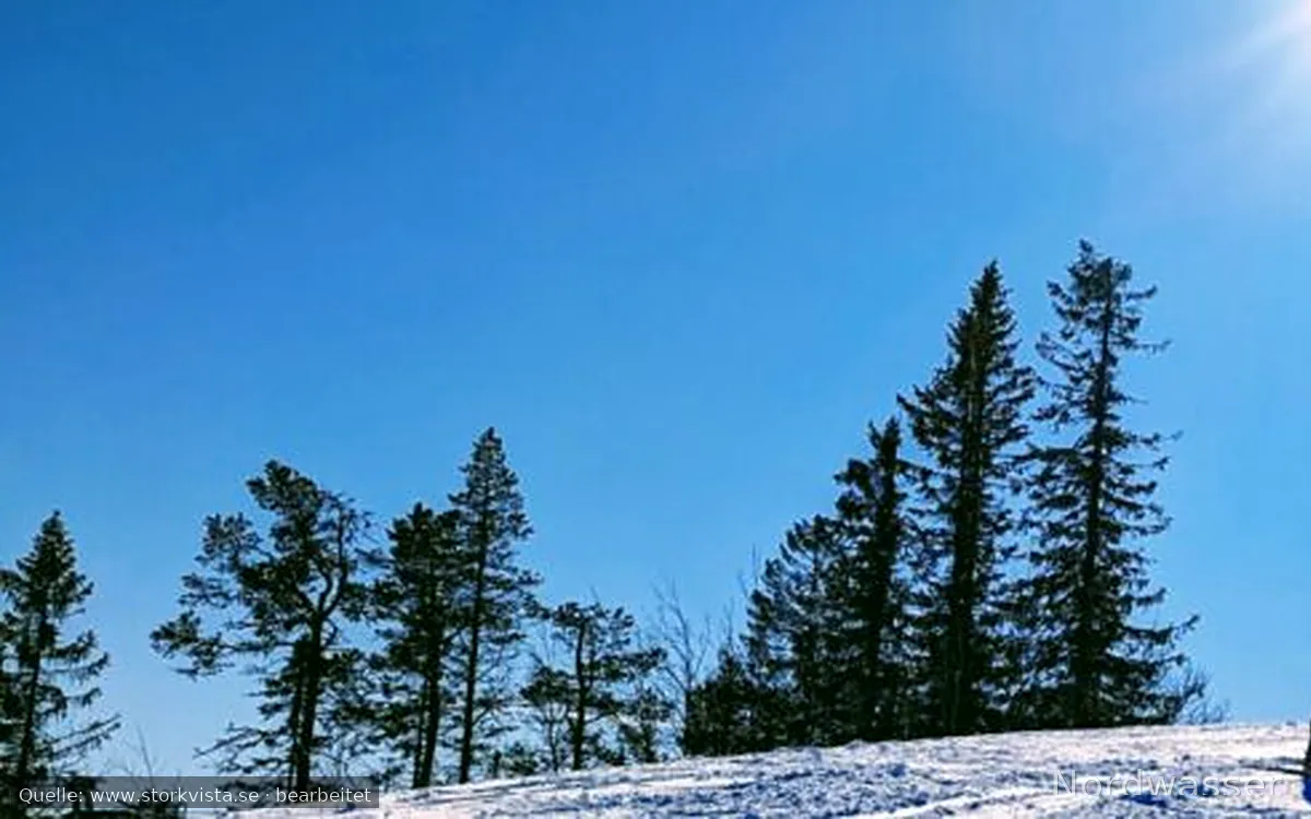 Storkvista