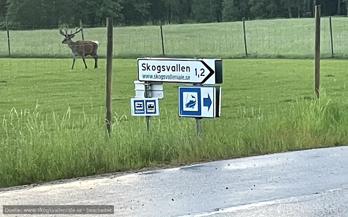 Skogsvallen i Ale