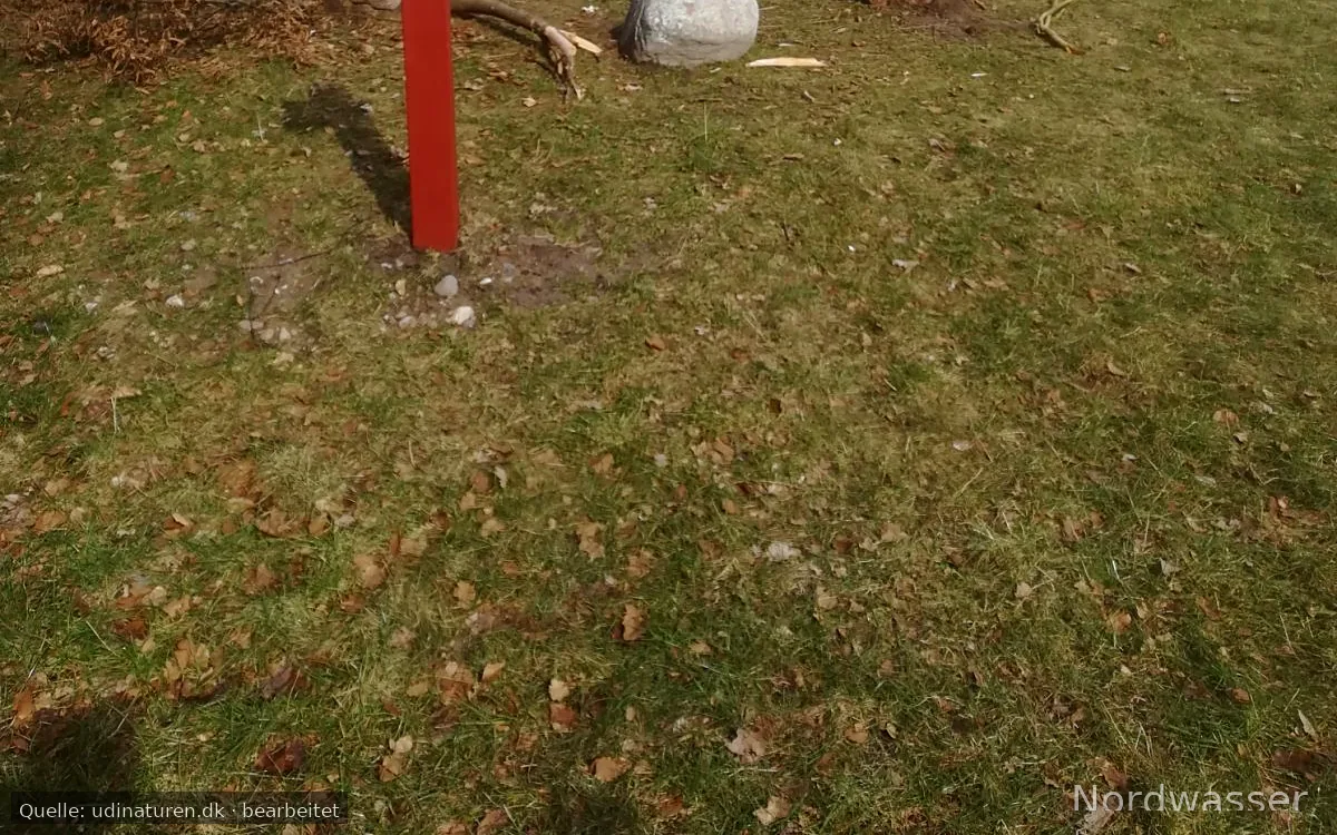 Statsskovvæsenet
