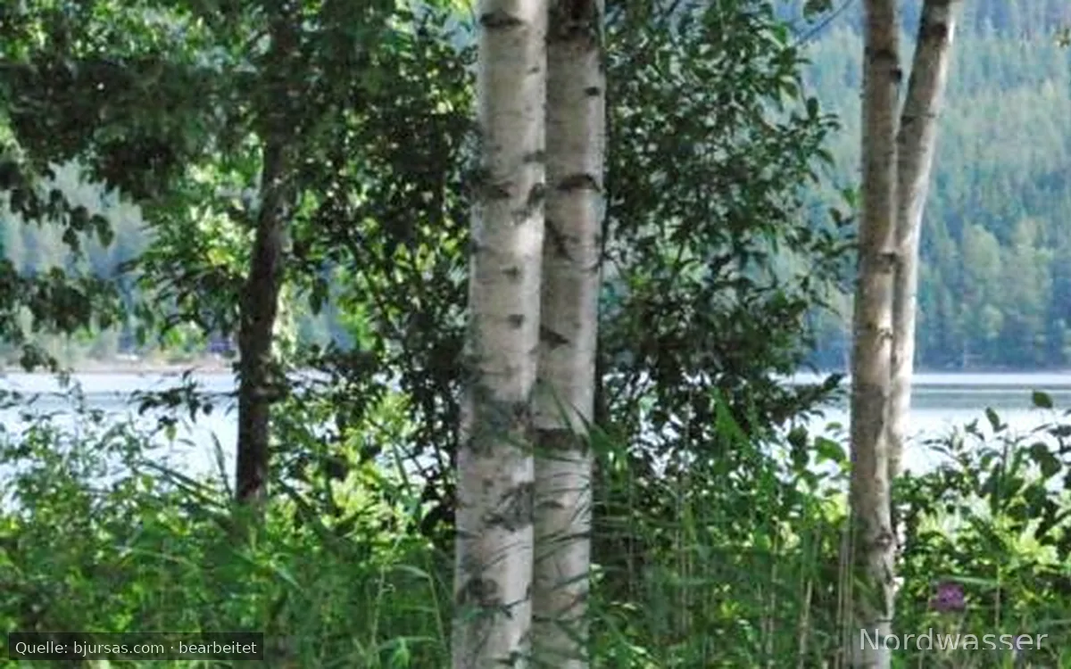 Bjursås Berg & Sjö