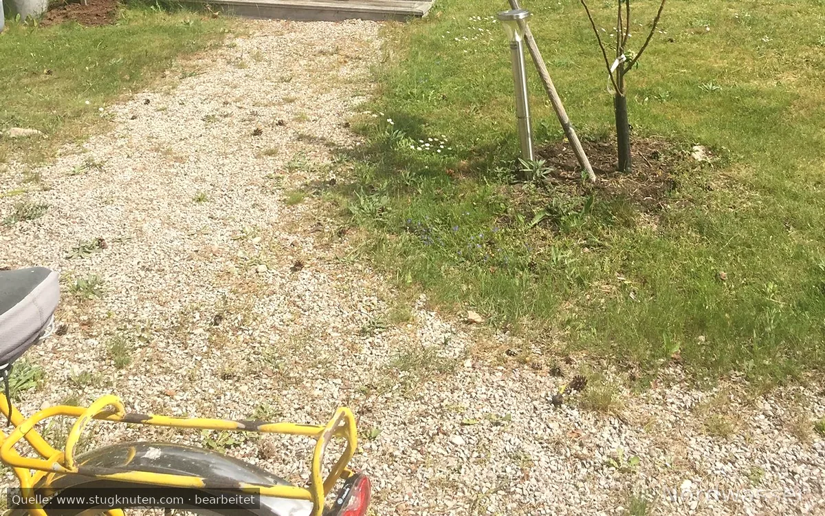 Ekstakusten med havsutsikt