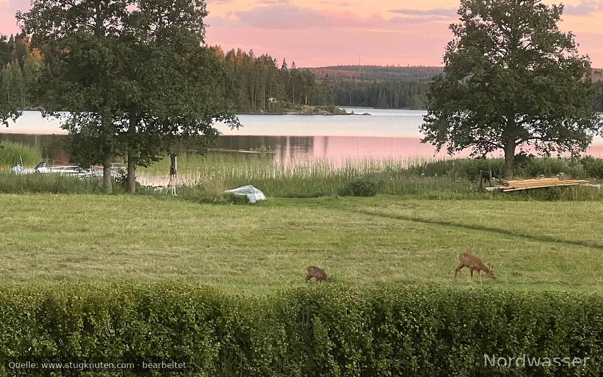 Charmig stuga vid sjön, magisk utsikt, bad & fiske