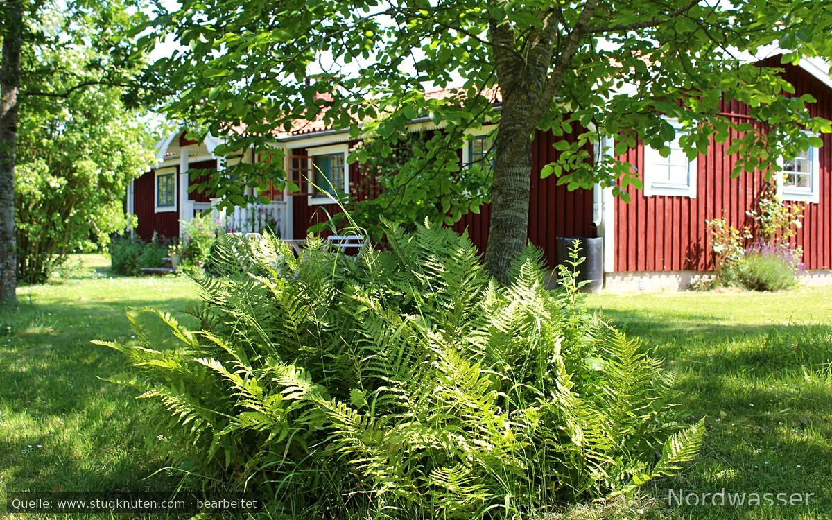 Öland Borgholm Alböke Eriksberg