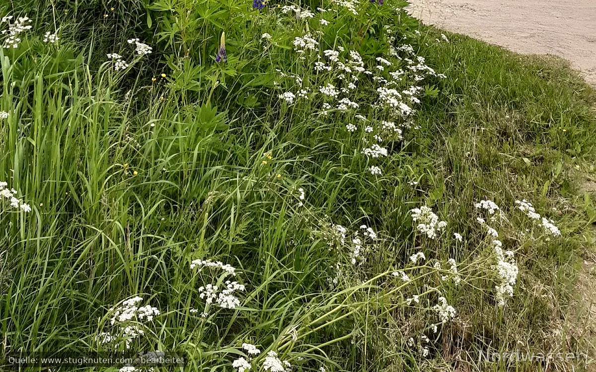 Stuga Åsnagård i Torsby/Värmlanvflället