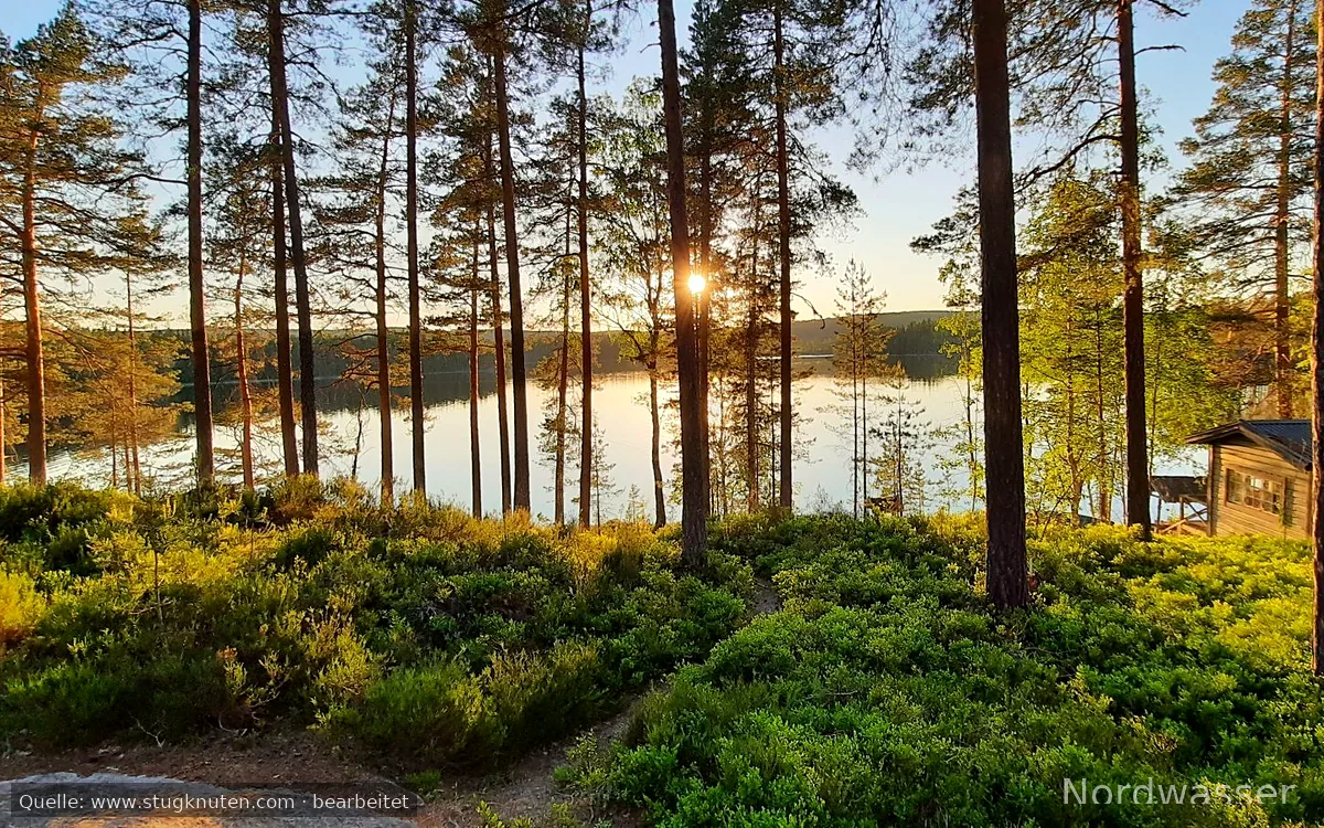 Mysig stuga vid GLASKOGEN