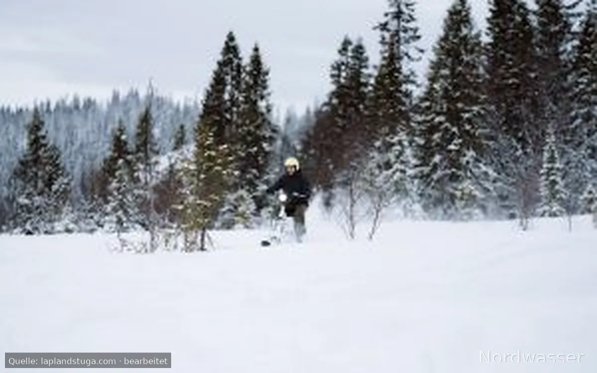 Lapland Stuga & Tour