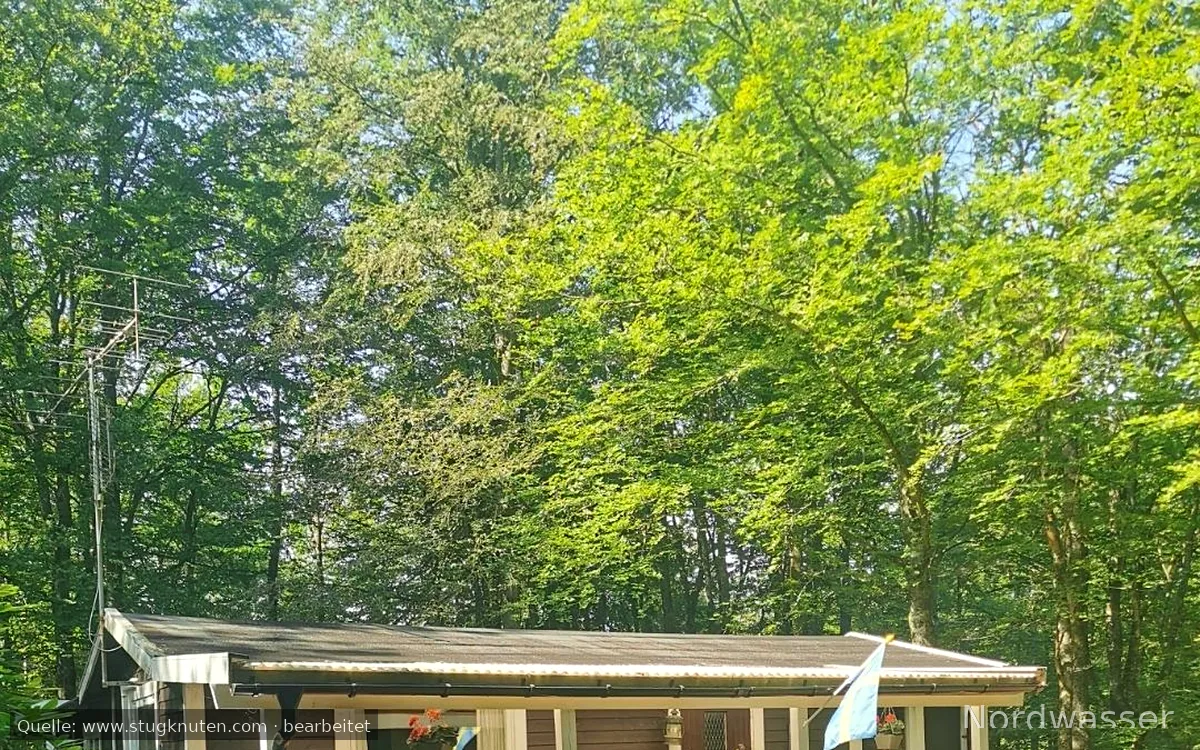 Mysig stuga mitt i bokskogen och stenkast från sjö