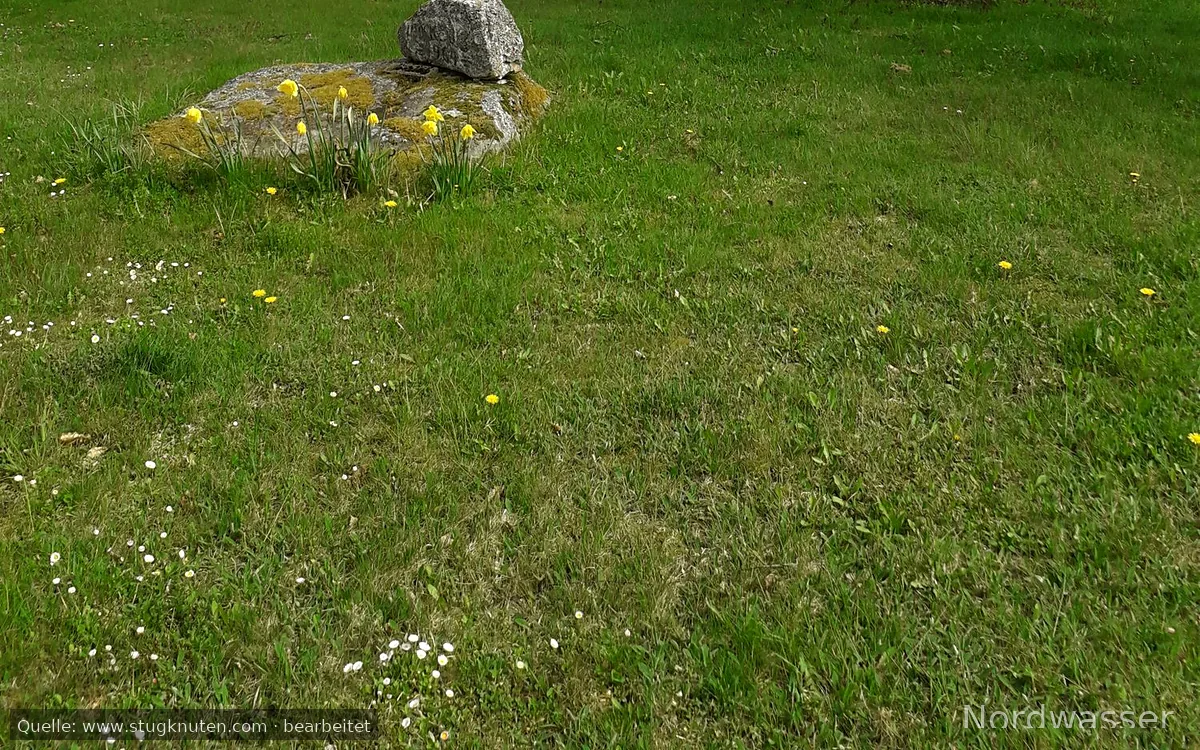Liten stuga på landet