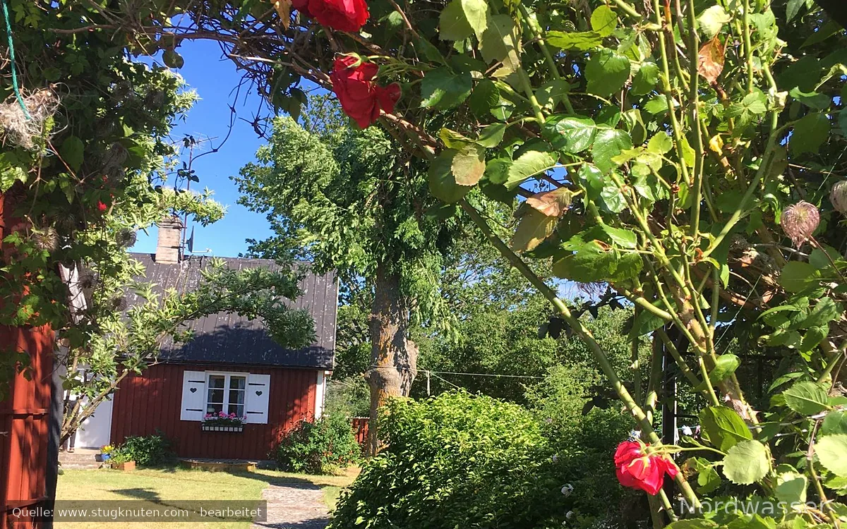 Välkomna, endast vecka 32 ledig!