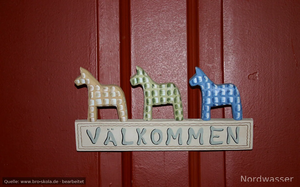 Bro Skola