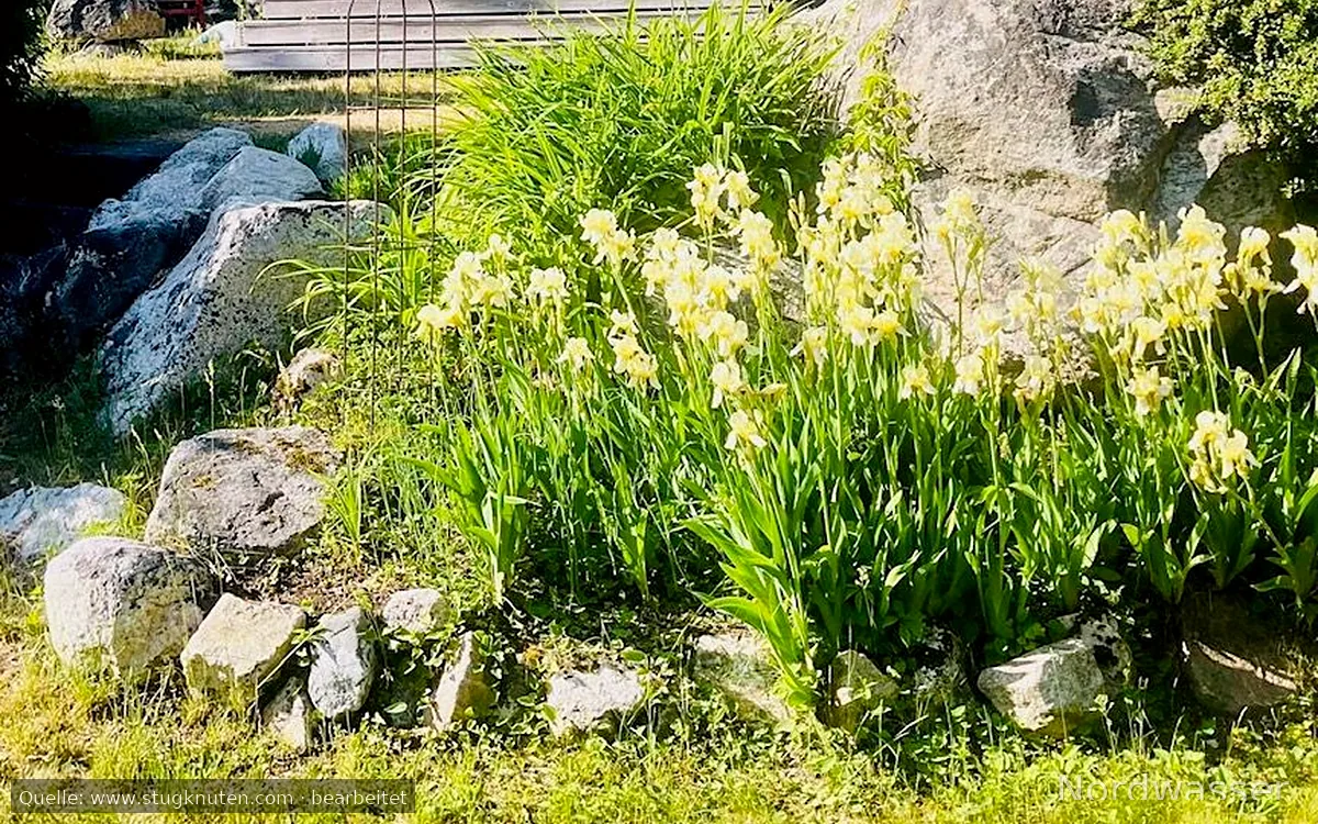Mälarnära sommarparadis på grön kulle