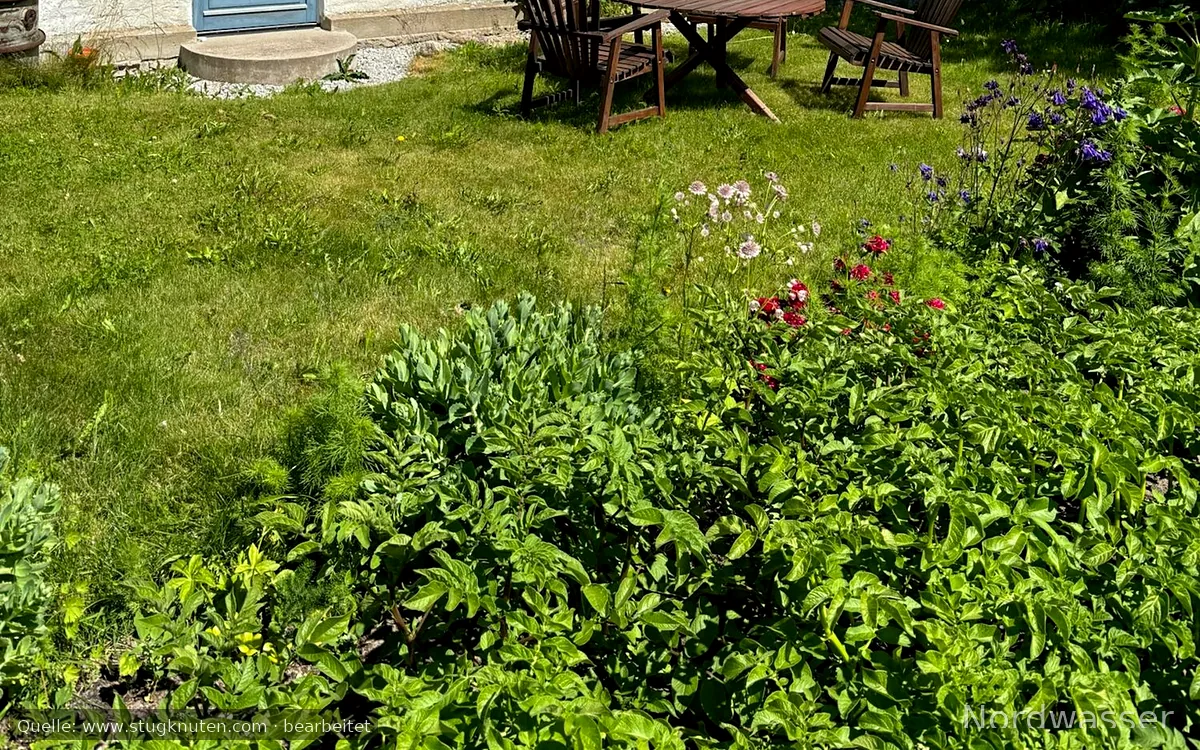 Bo naturskönt på södra Gotland