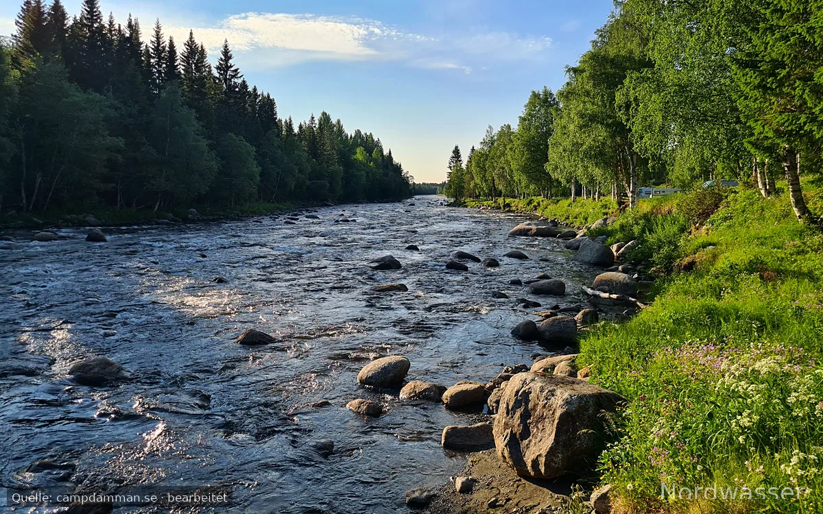Camp Dammån