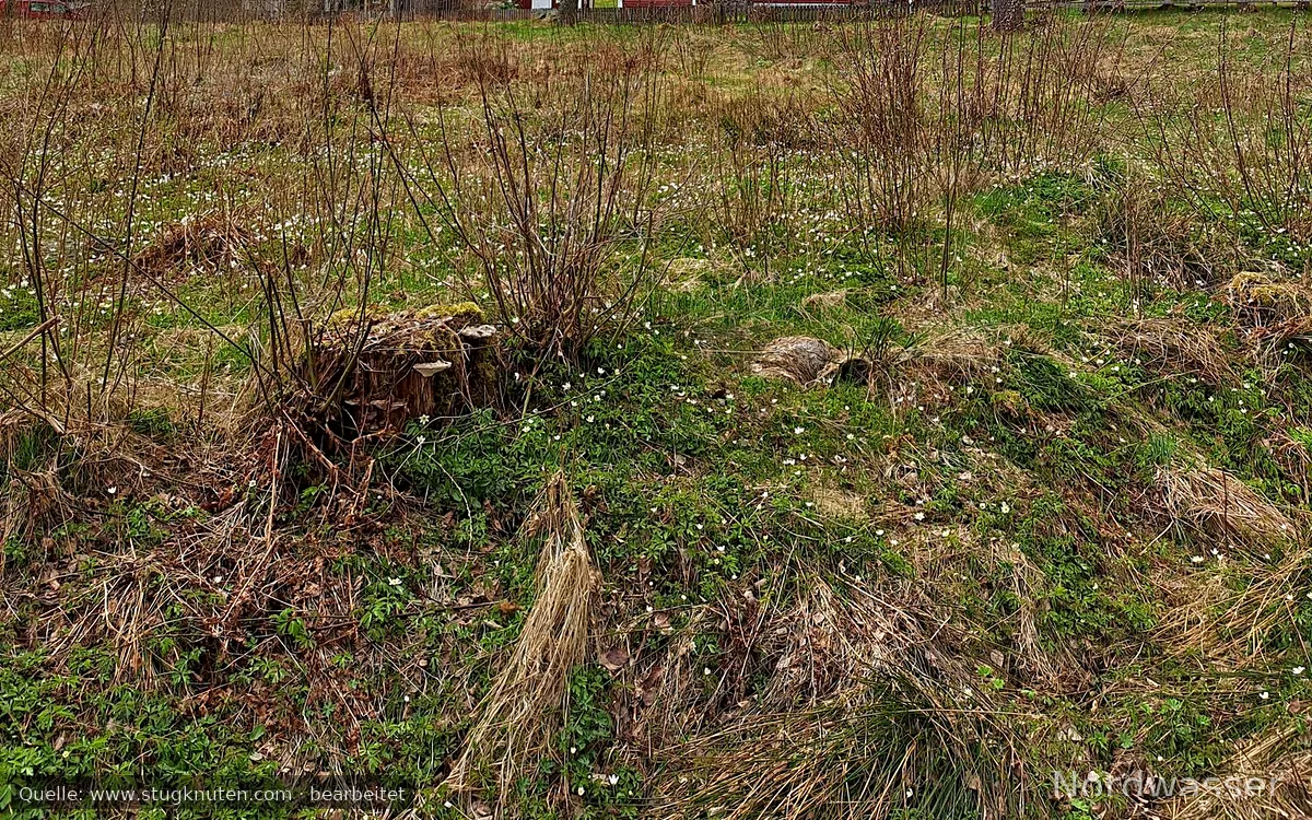 Mysig stuga på det vackra Hökensås