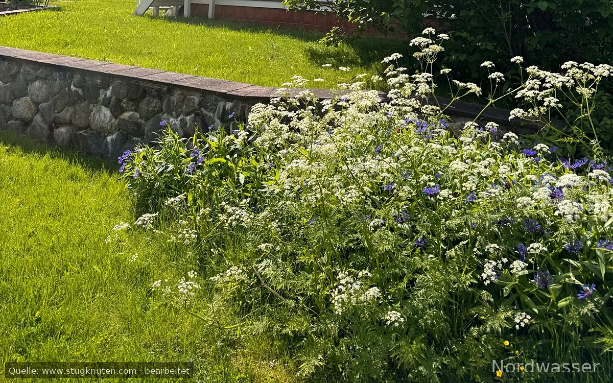 Paradis på sjötomt