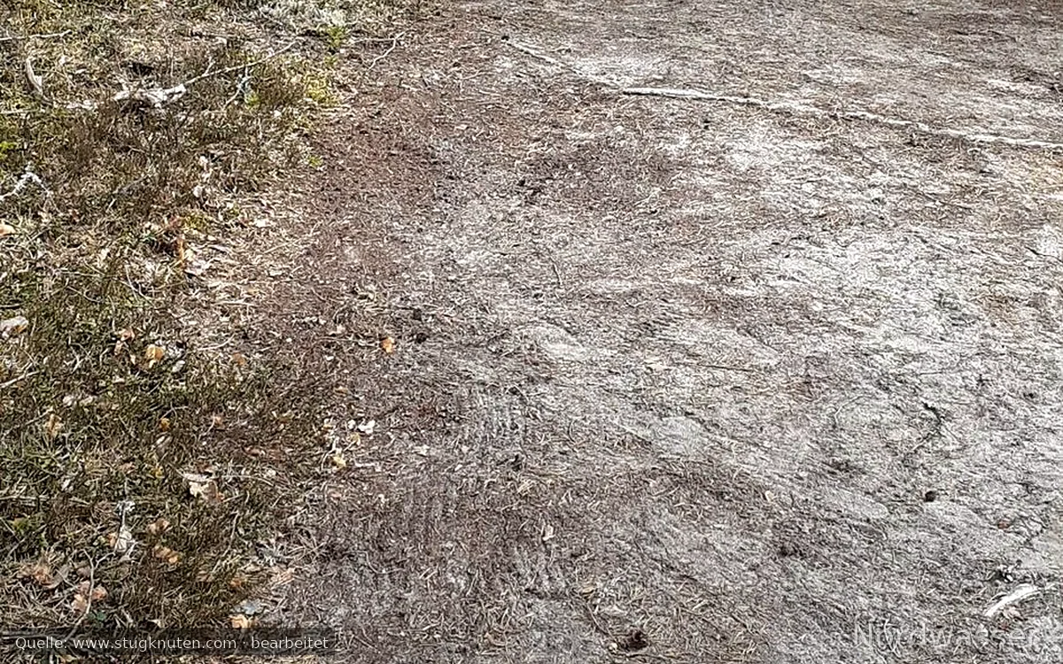 Enkel sommarstuga
