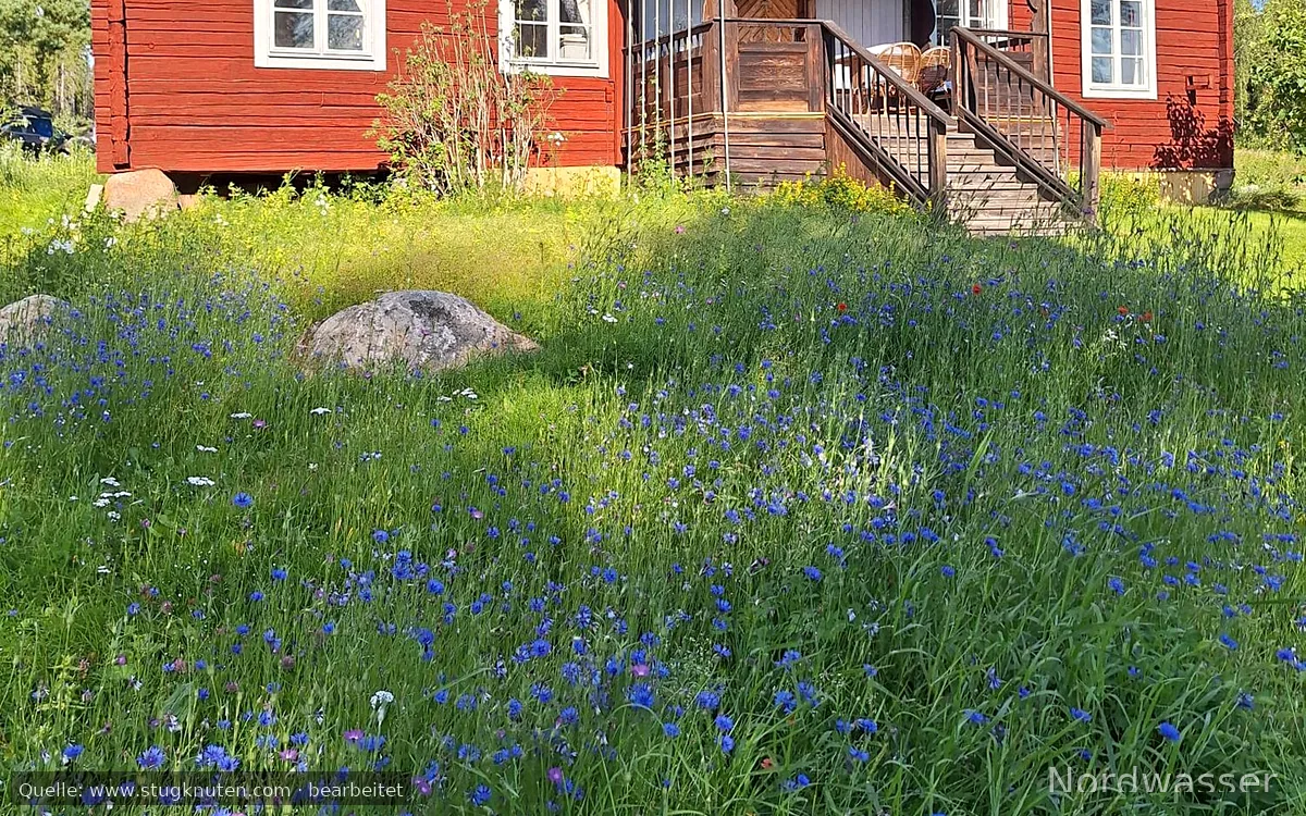 Gamla Fältasgården vid Kalvsjön