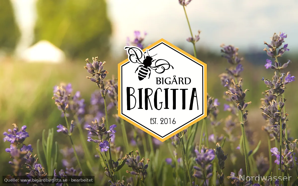 Bigård Birgittas ställplats