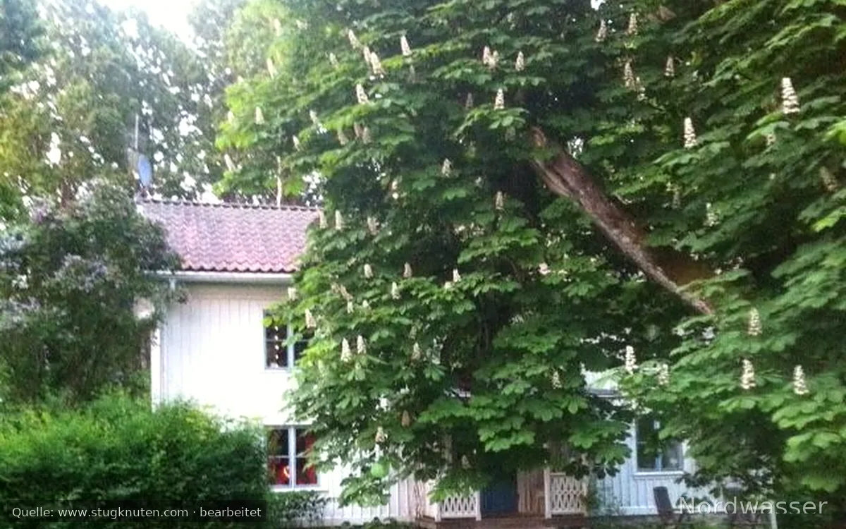 Buda Gård, Liljedal