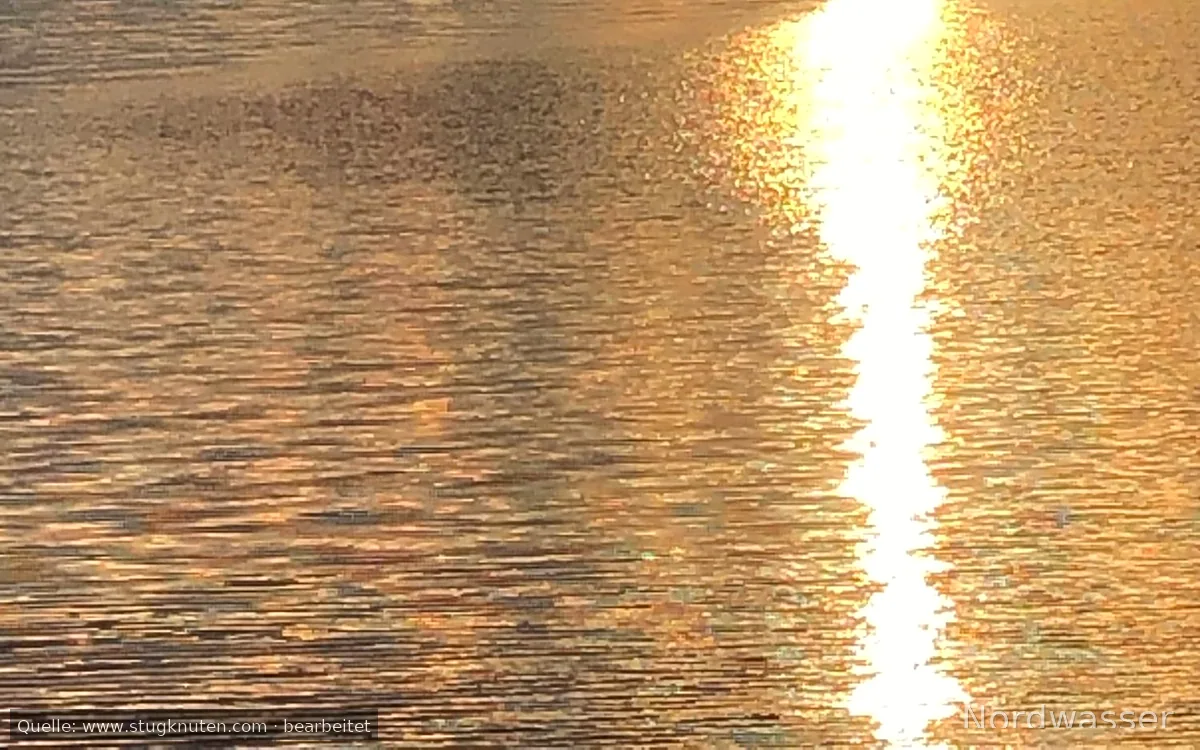 Sommarboende i lägenhet i villa nära fin badplats