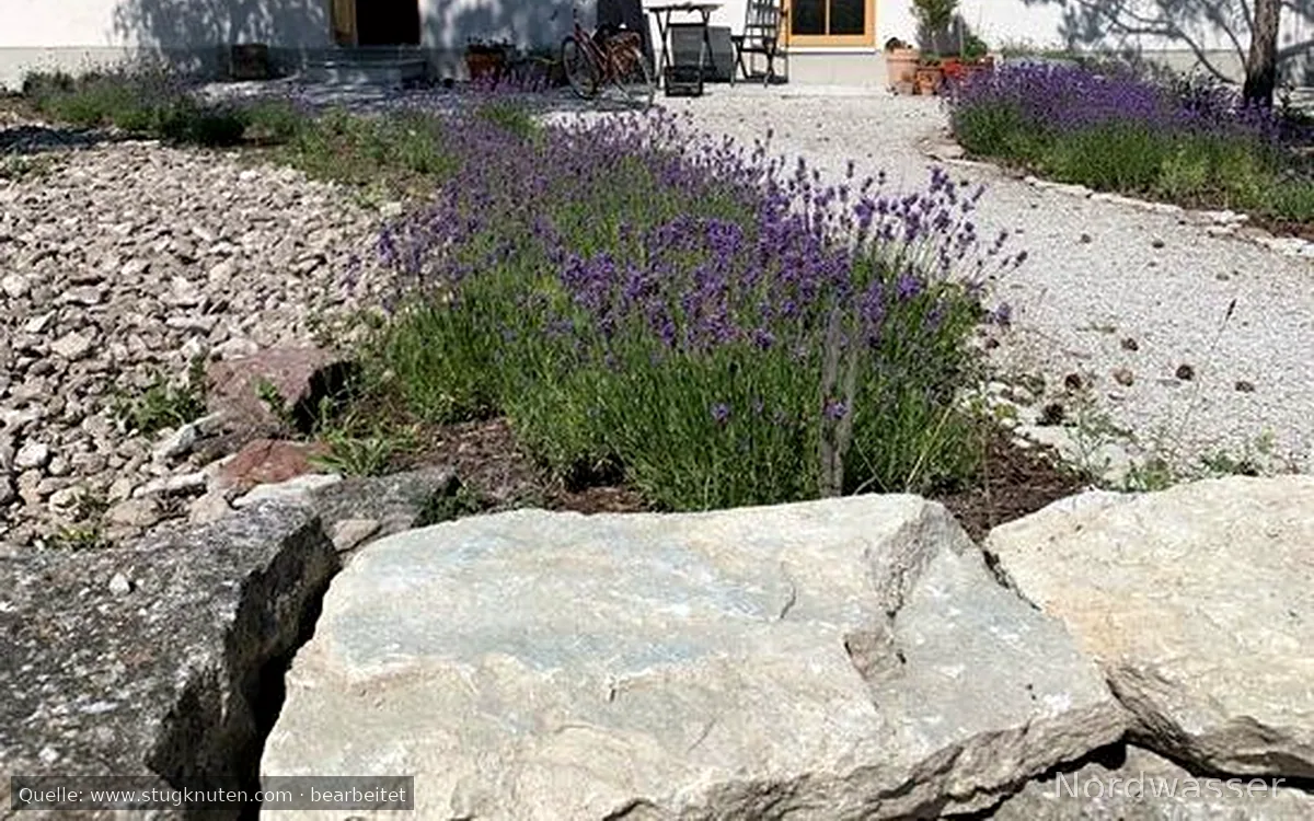 Exklusivt mysigt stenhus vid havet - Juni/Augusti